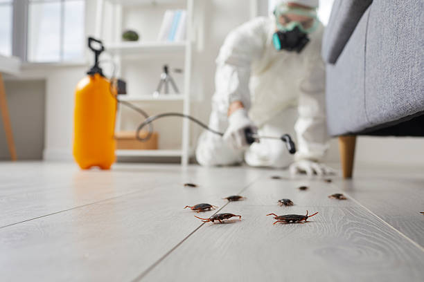 Trusted Fumigation Services service in Sparks, GA - Nex Pest Control