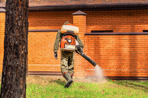 Trusted Bed Bug Control service in Sparks, GA - Nex Pest Control